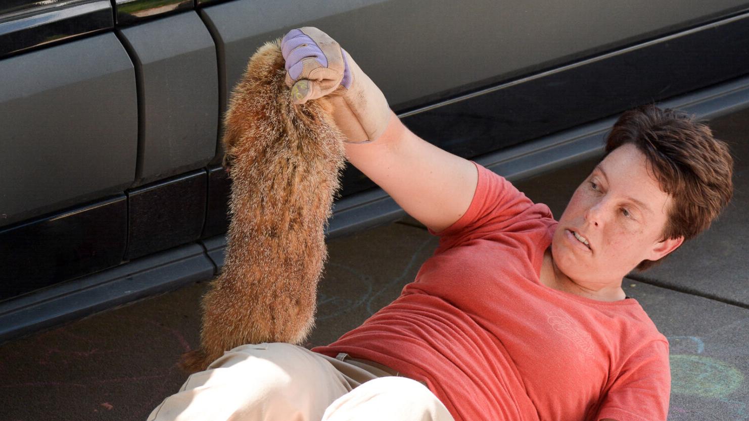 City Hall: Furry stowaway, a symbolic arch for the city's oldest park, popular new senior center